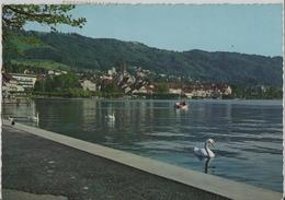 Zug Mit Zugersee - Zoug