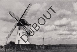 Schelderode Molen/Moulin Foto (kopie?) B12 - Merelbeke