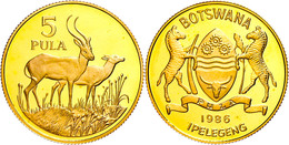 5 Pula, Gold, 1986, Red Lechwe (Moorantilope), 14,60g Fein, KM 19, In Kapsel, Mit WWF-Zertifikat, PP. Auflage 5000 Stück - Botswana