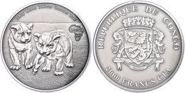 2.000 Francs, 2013, Africa - Babylöwen, 3 Unzen Silber, Antik Finish, In Kapsel Mit Zertifikat, St. Auflage Nur 500 Stüc - Gabon