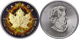 5 Dollars, 2015, Burning Maple Leaf, 1 Unzen Silber, Black Ruhenium Finish, Vergoldet, Etui Mit OVP Und Zertifikat, St A - Canada