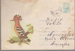 Birds Envelope ROMANIA 1966, CANCEL CARANSEBES AT BALS , OLTENIA - Covers & Documents