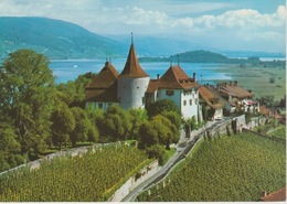 18/10/452  -  CHÂTEAU  CERLIER  ET  ILE  ST.  PIERRE  ( BE ). -  C. P. M. - Cerlier