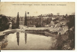 86 - LUSSAC LES CHATEAUX / ABREUVOIR - VALLEE DU PETIT MOULIN - LES PAQUIGNONS - Lussac Les Chateaux