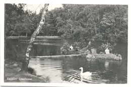 Emmen, Landmeer   (glansfotokaart) - Emmen