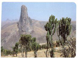 (450) Cameroun With Cactus - Kapsiki - Cactusses