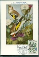 CM-Carte Maximum Card # 1962-Monaco # Protection Des Oiseaux, Vogel, Birds # Chardonneret,Stieglitz,goldfinch - Maximum Cards