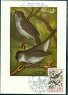 CM-Carte Maximum Card # 1962-Monaco # Protection Des Oiseaux, Vogel, Birds # Fauvette,Grasmücke,warbler - Maximum Cards