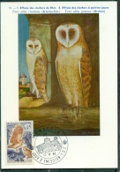 CM-Carte Maximum Card # 1962-Monaco # Protection Des Oiseaux, Vogel, Birds # Effraie ,Schleiereule,Barn Owl - Maximum Cards