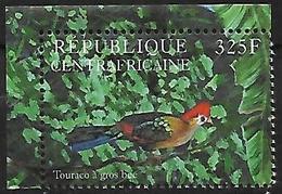 Central Africa - 2001 - Red-crested Turaco (Tauraco Erythrolophus - Koekoeken En Toerako's