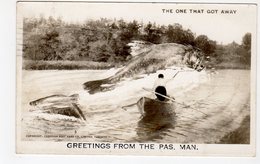 THE PAS, Manitoba, Canada, "Greetings From", Exaggerated Large Fish, 1953 RPPC - Other & Unclassified
