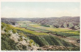 PC San Timeteo Canyon From Smiley Heights - Redlands - California (37231) - San Bernardino