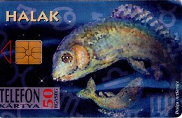 TARJETA TELEFONICA DE HUNGRIA. HOROSCOPO, HALAK - PISCIS. HU-P-1996-03A. (135) - Zodiaque