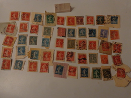 Lot De 50 Timbres La Semeuse De Roty Sur Fragment - Autres & Non Classés