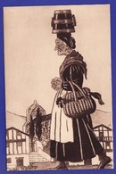 Pays Basque Au Marché Par Illustrateur Jacques Le Tanneur : Très Très Bon état : é1007)) - Sin Clasificación