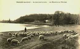 58...NIEVRE.....POUGUES LES EAUX.........AU BORD DE LA LOIRE - Pougues Les Eaux