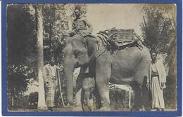 CPA Inde India Britannique Anglaise Non Circulé Carte Photo RPPC éléphant - Inde