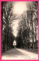 Villers En Arthies - Avenue Du Château - Cliché A. BERTRAN - Edit. MANTES - 1909 - Oblit. DINAN - Sonstige & Ohne Zuordnung