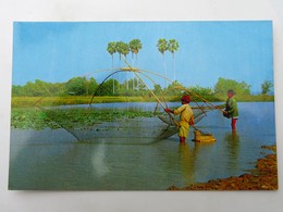 Carte Postale : THAILAND : Thai Farmer's Fish-fishing - Thaïlande