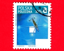 POLONIA - Usato - 2013 - Francobollo Posta Economica - Insetti - Water Strider (Gerris Palustrum) - 350 G - Oblitérés