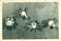 Delcampe - Rudnik Mežica, Mežiški Rudnik, 1940s Or 1950s, Mežica Mine, Mießtal, Mieß, Žerjav, Separacija, Slovenia, Koroška - Slowenien