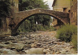 Valleraugue : Pont De La Confrérie Sur L'Hérault - Valleraugue