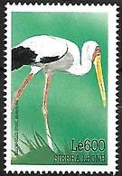 Sierra Leone 1999 - MNH - Yellow-billed Stork (Mycteria Ibis - Cigognes & échassiers