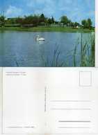 Albania - Botanical Garden - Pelicans - Birds - Tirana / Tirane 1986 - Albanie