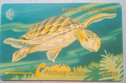 20CBVB Turtle $10 - Jungferninseln (Virgin I.)