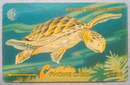 22CBVD Turtle $10 - Virgin Islands
