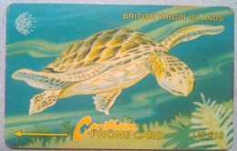 21CBVC Turtle $10 - Maagdeneilanden