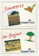 Un Bonjour De Fondettes & Souvenirs De Fondettes.37.Indre Et Loire. - Fondettes