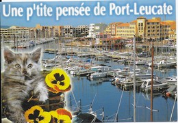 Port Leucate : Une P'tite Pensée De Port Leucate - Leucate