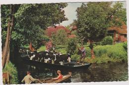 Pays-bas     Giethoorn    Veevervoer - Giethoorn