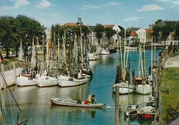 D-25832 Tönning - Eider- Hafen Mit Fischerboote - Heide