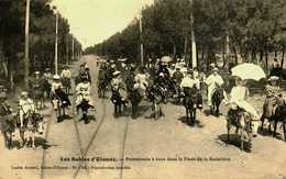 85.....VENDEE....LES SABLES D OLONNE......promenade A Dos D'ane...foret De La Rudeliere - Sables D'Olonne