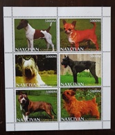 AZERBAIDJAN, Chiens, Chien, Dog, Dogs, Perro, Perros. 6 Valeurs ** 1999. Série Neuve Sans Charnière. (MNH) - Cani