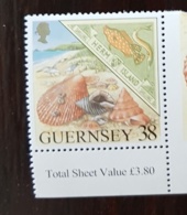 GUERNESEY. Coquillage, Shell,  Conchas, 1 Valeur Emise En 1998 **  (MNH) - Coquillages
