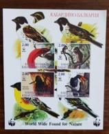 RUSSIE Oiseaux, Mammiferes, Felins, Ecureuil, Feuillet Neuf Sans Charniere (MNH) Emis En 1995 - Autres & Non Classés