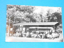 Delcampe - 40 ) Hossegor - Carte Photo - Repas Du Midi Au Village  " Le Village Des Pins " République Des Gosses D'hossegor " - Hossegor