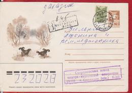 BIRD BIRDS BLACKCOCK MOUNTAIN ROOSTER RUSSIA COVER STATIONERY, ENTIER POSTAL - Coucous, Touracos