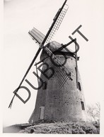 Overpelt Molen/Moulin Originele Foto  C7 - Overpelt