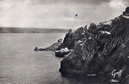 CPA POINTE DU RAZ DE SEIN -tête De Lion Et Moine Couché PLOGOFF - Plogoff