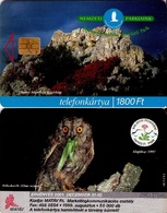 TARJETA TELEFONICA DE HUNGRIA. PARQUES NACIONALES Y BUHO. HU-P-1999-32. (076) - Owls