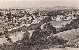 Rhone : PONTCHARRA-sur-TURDINE : Vue Générale (  Cpsm - Photo Vérit. ) - Pontcharra-sur-Turdine