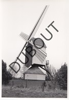 Noorderwijk Molen/Moulin Originele Foto C24 - Herentals