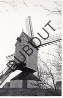 Heist Op Den Berg  Molen/Moulin Originele Foto C25 - Heist-op-den-Berg