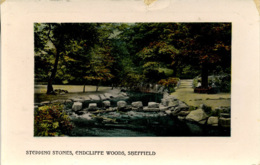 SOUTH YORKS - SHEFFIELD - ENDCLIFF WOODS - STEPPING STONES 1910 Ys95 - Sheffield