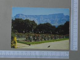 SOUHT AFRICA - BOTANICAL GARDENS -  CAPE TOWN -   2 SCANS  - (Nº25961) - Malawi