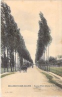 03 - BELLERIVE SUR ALLIER : Avenue Pont Champ De Corne ( Attelage - Calèche ) - CPA - Allier - Altri Comuni